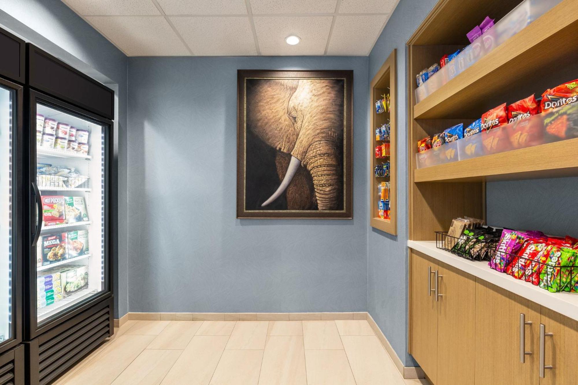 Holiday Inn Express & Suites - Tuscaloosa-University By Ihg Eksteriør billede